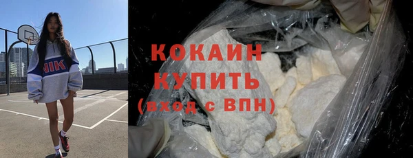 прущие грибы Абаза