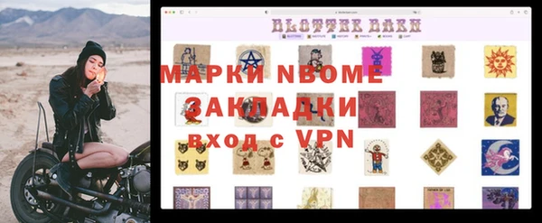 прущие грибы Абаза