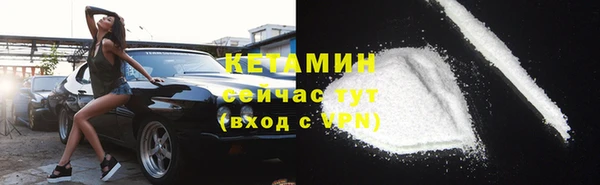 прущие грибы Абаза