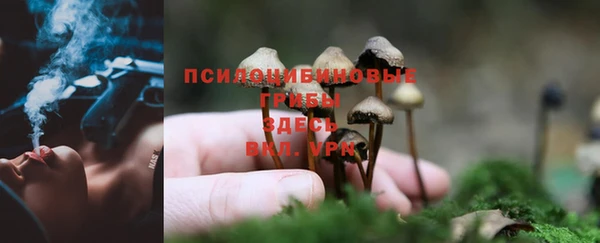 метадон Абинск