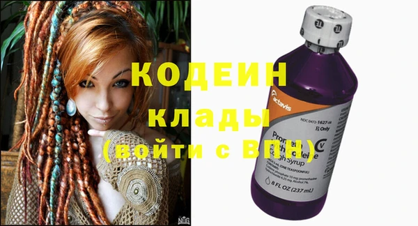 прущие грибы Абаза