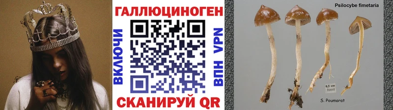 Псилоцибиновые грибы MAGIC MUSHROOMS  Мантурово 